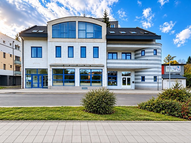 Pronájem komerčního prostoru, 51 m² (7 z 8)