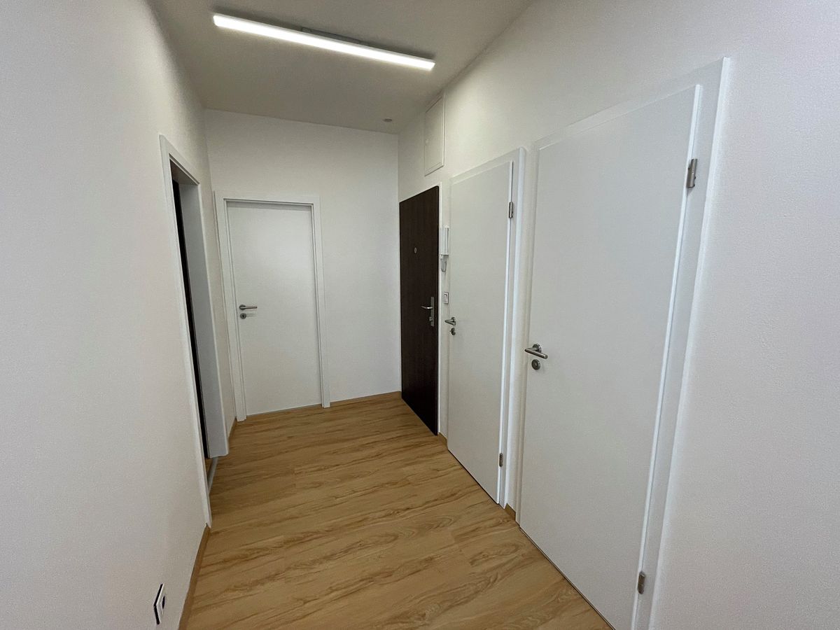 Pronájem bytu 2+1 53 m² – fotografie 5