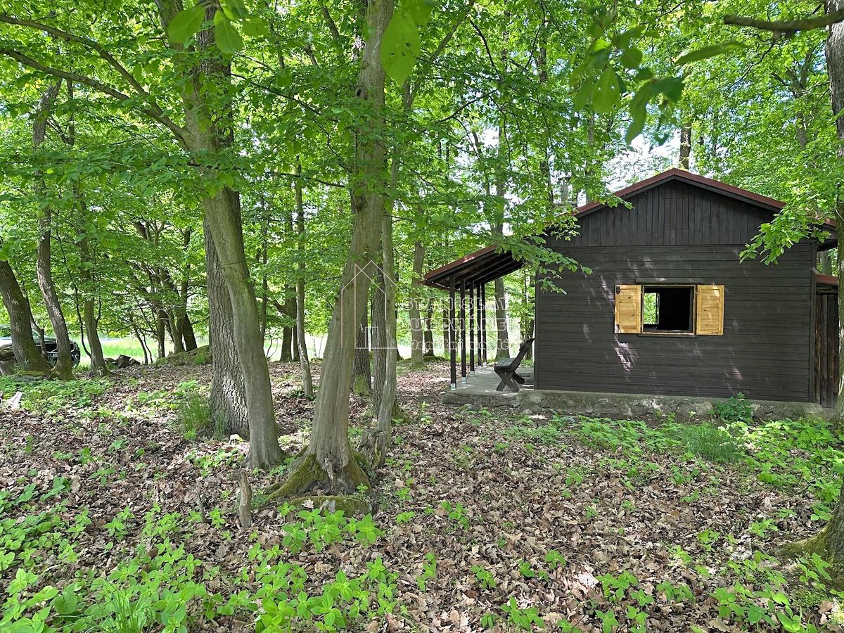Prodej chaty 29 m², pozemek 1 m² – fotografie 3