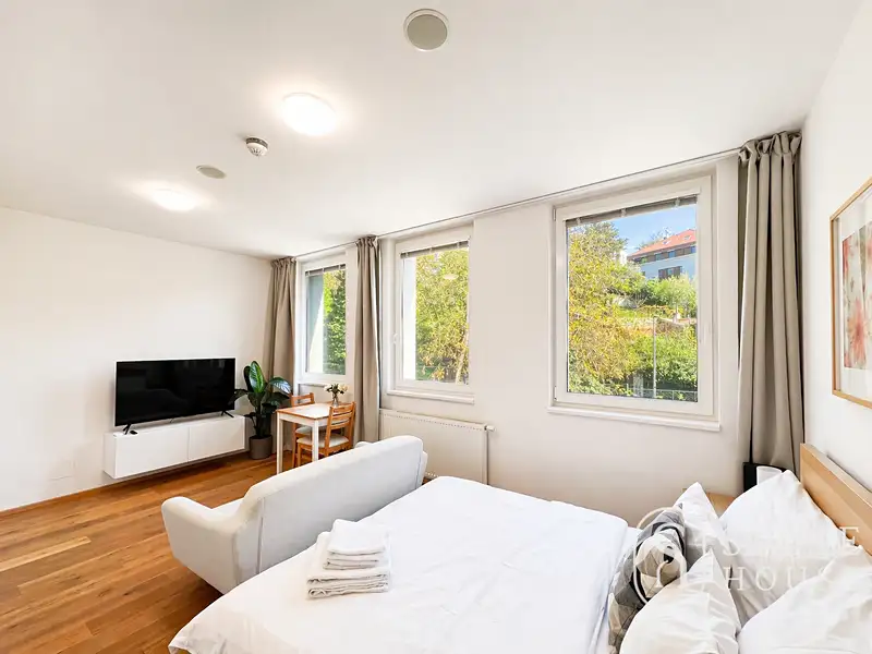 Pronájem bytu 1+kk 30 m², Praha – náhled fotky 1