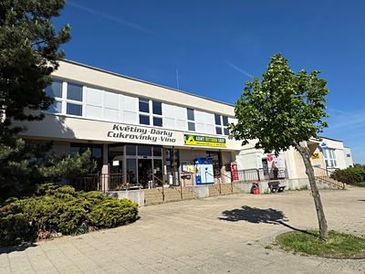 Pronájem kanceláře 272 m²