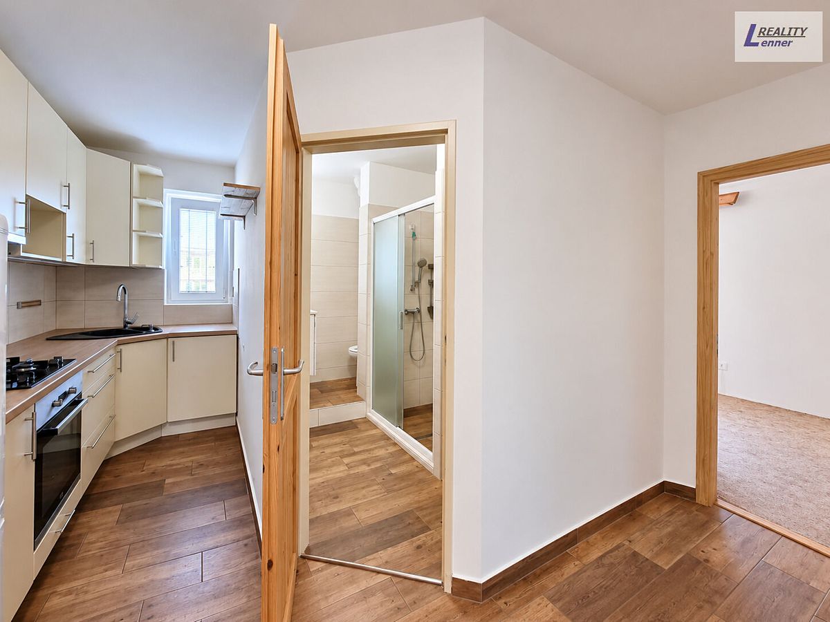 Pronájem bytu 3+1 63 m²