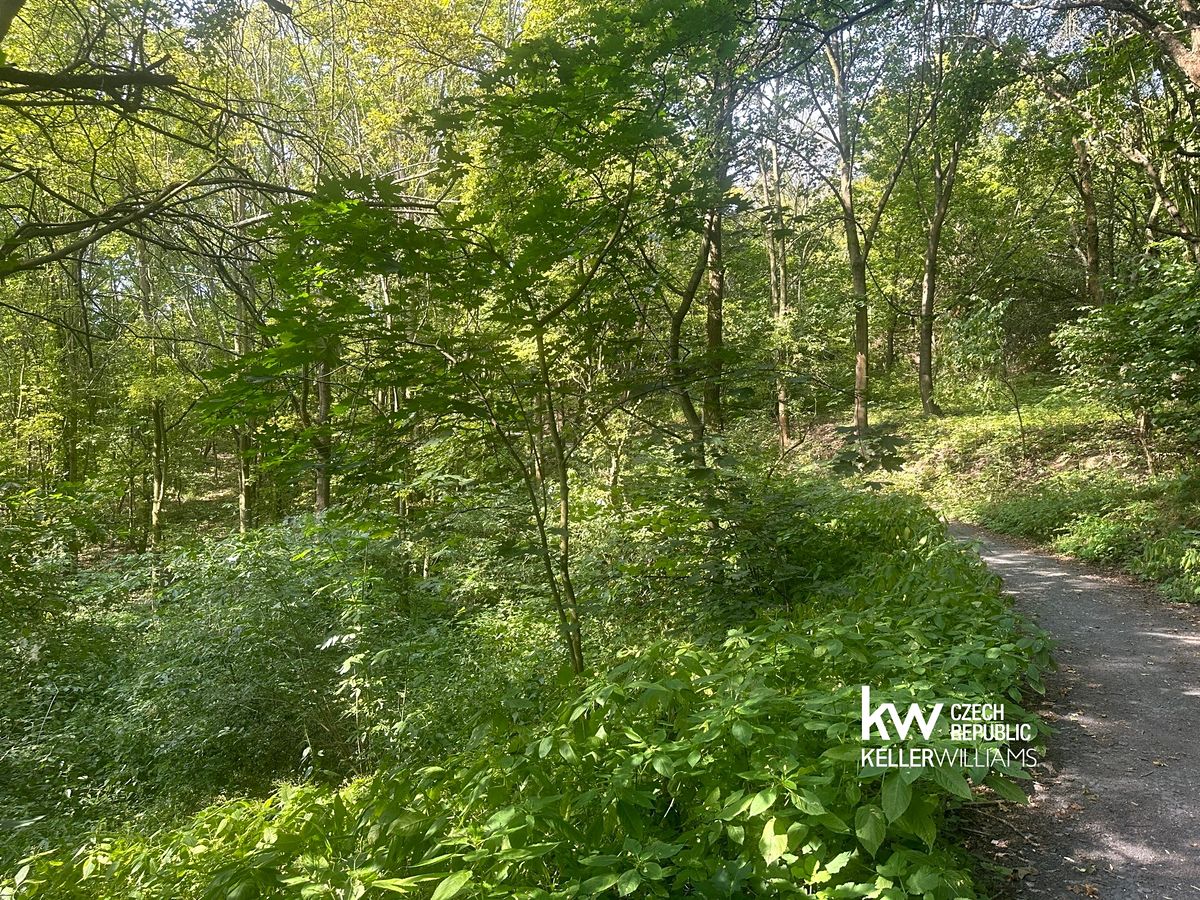 Prodej pozemku 22760 m², Bílina – fotka 1 z 3