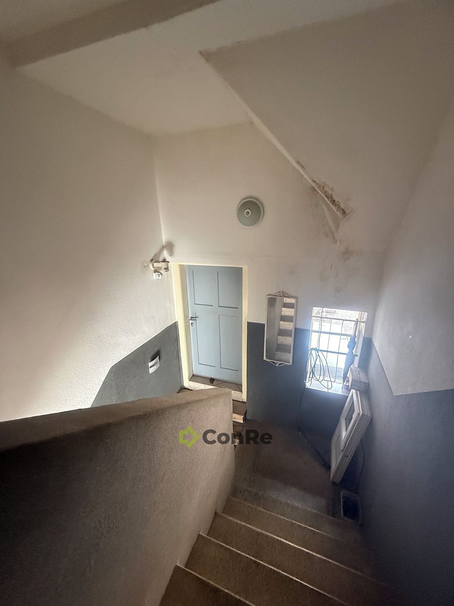Prodej rodinného domu 210 m², pozemek 1622 m² – fotografie 5