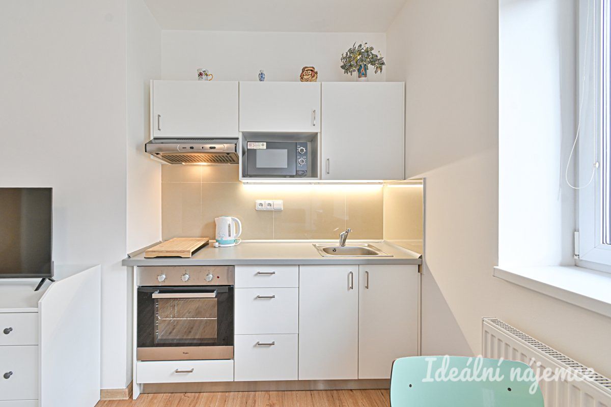 Pronájem bytu 1+kk 25 m² – fotografie 3