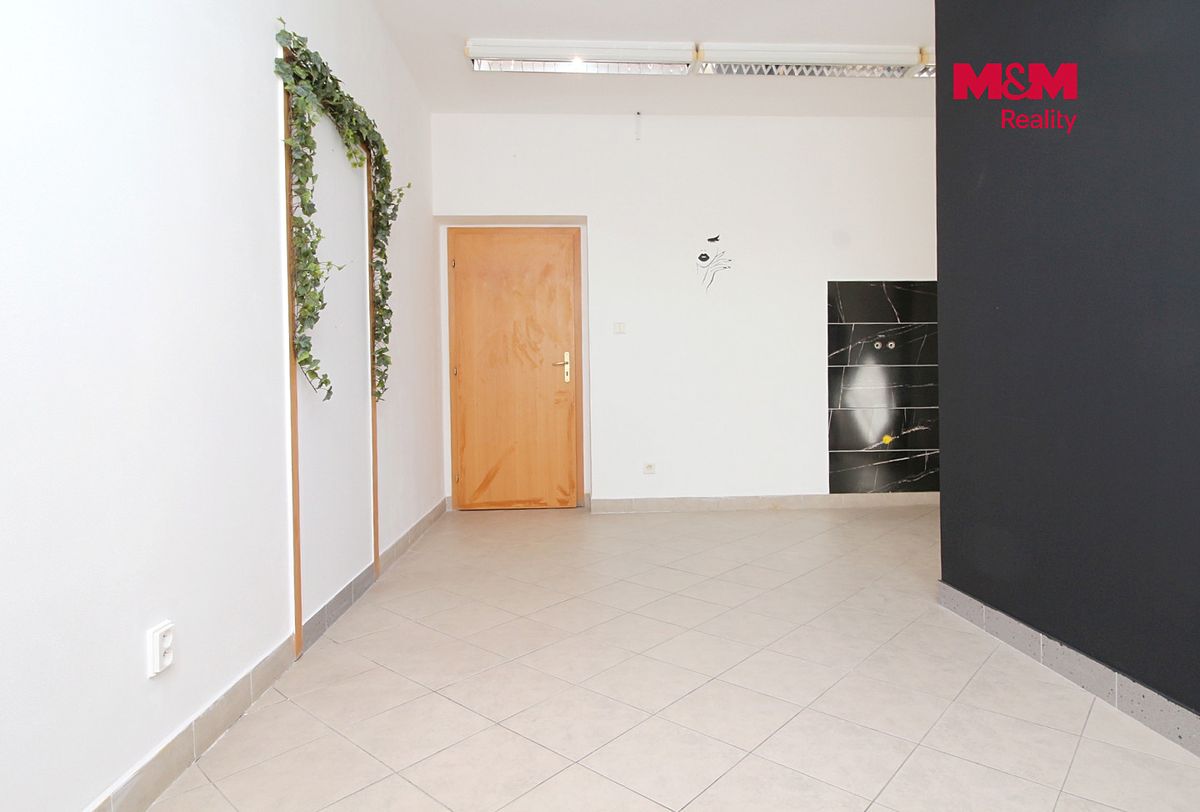 Pronájem obchodního prostoru 24 m² – fotografie 3