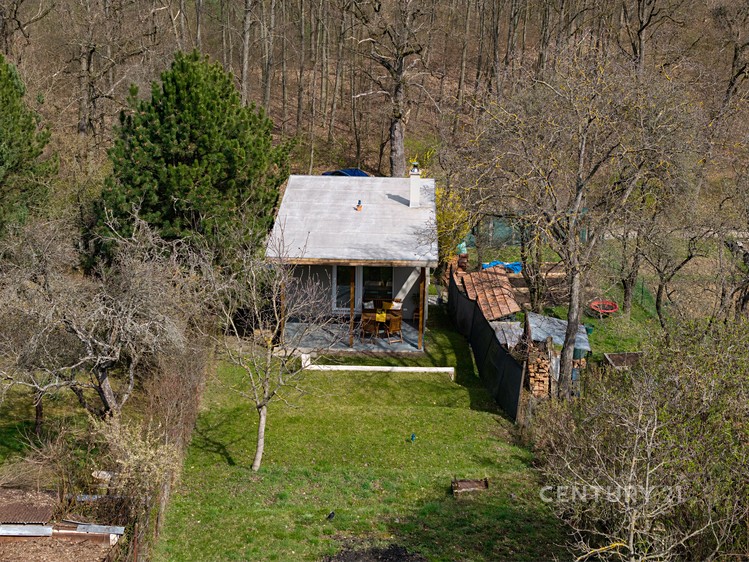 Ostatní