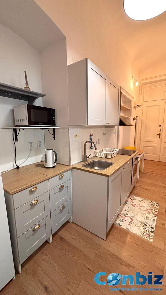 Pronájem bytu 2+1 55 m² – fotografie 3