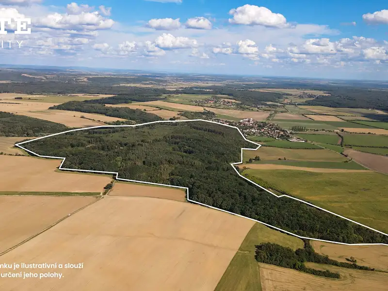 Prodej lesa 985653 m², Žerčice – náhled fotky 2