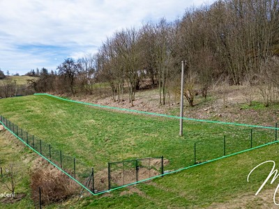 Grundstück zum Kauf, 6.197 m² (3 von 9)