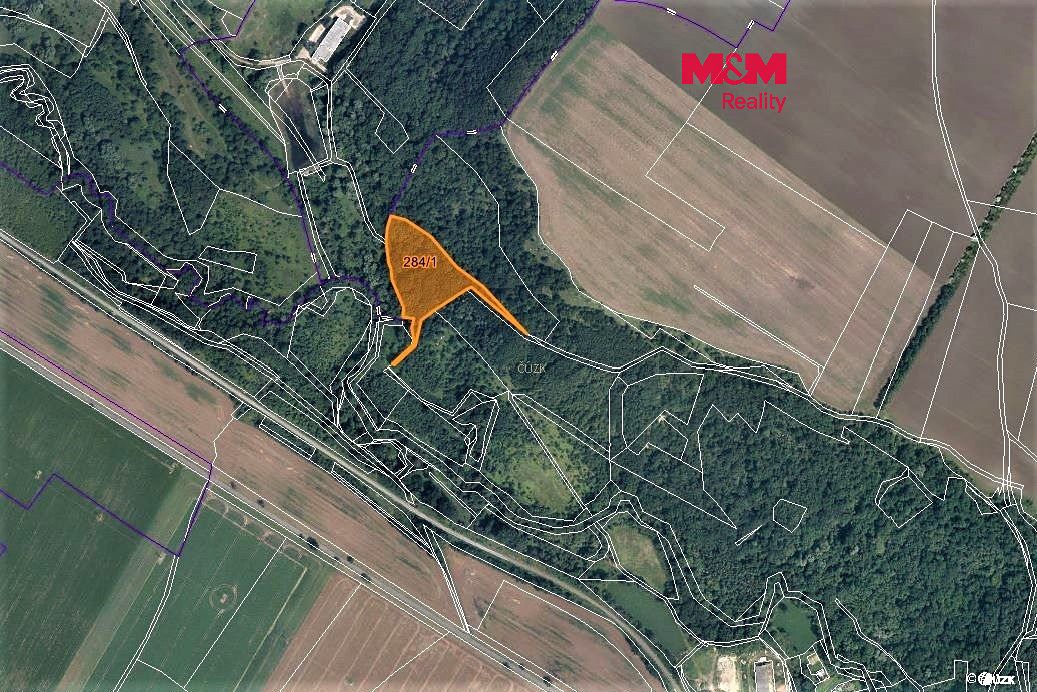 Prodej lesa 10077 m², Žiželice – fotka 1 z 3