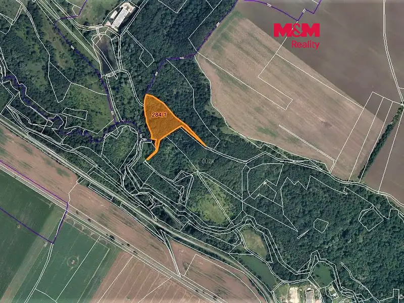 Prodej lesa 10077 m², Žiželice – náhled fotky 1