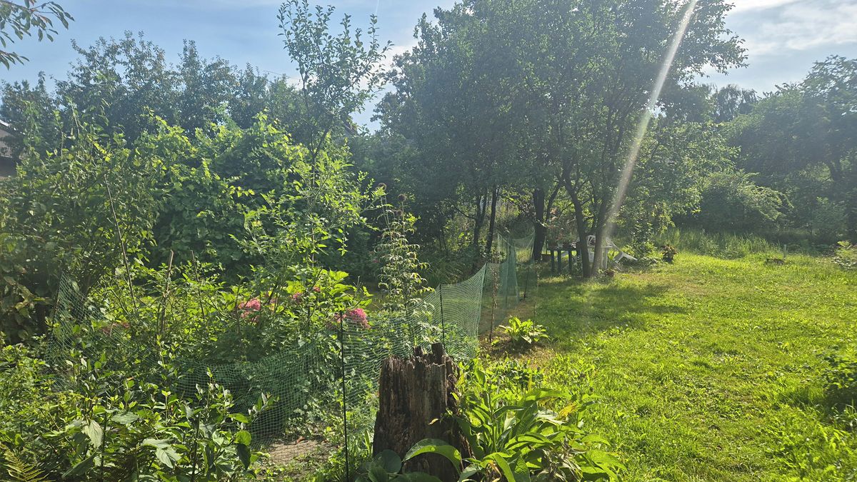 Prodej rodinného domu 133 m², pozemek 1250 m² – fotografie 3