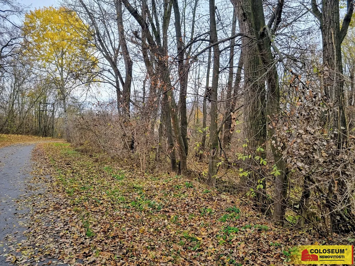 Prodej stavebního pozemku 3392 m²