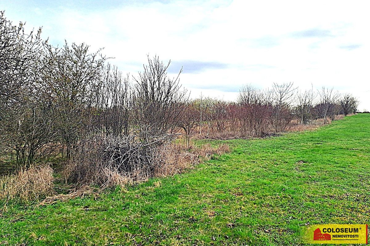 Prodej zahrady 863 m²