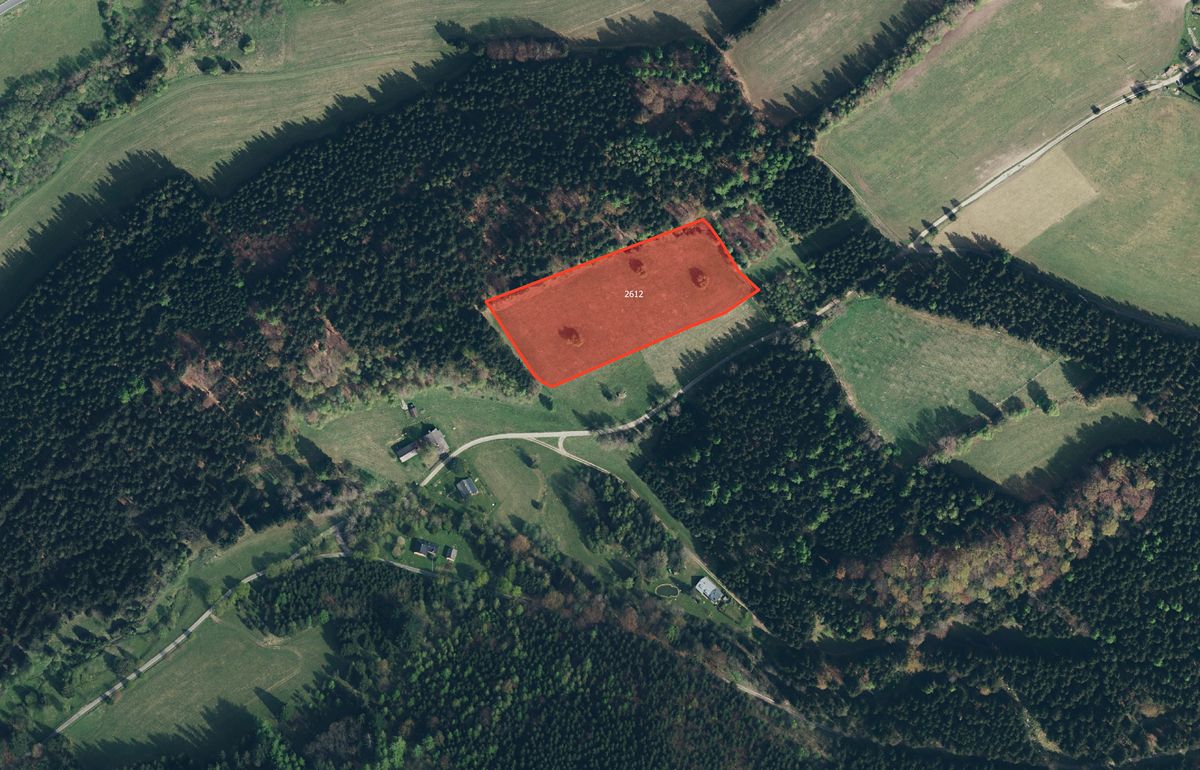 Prodej louky 14935 m²
