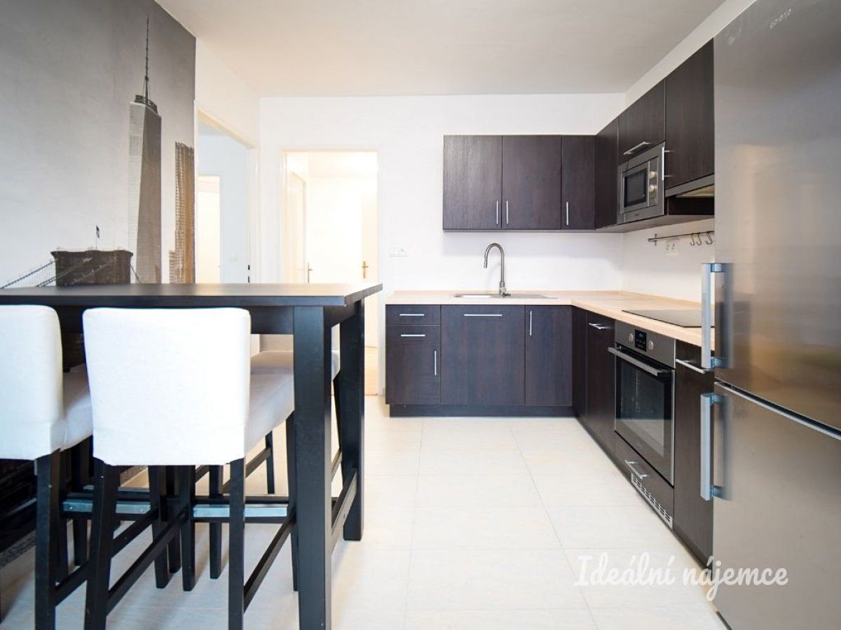 Pronájem bytu 1+1 48 m²