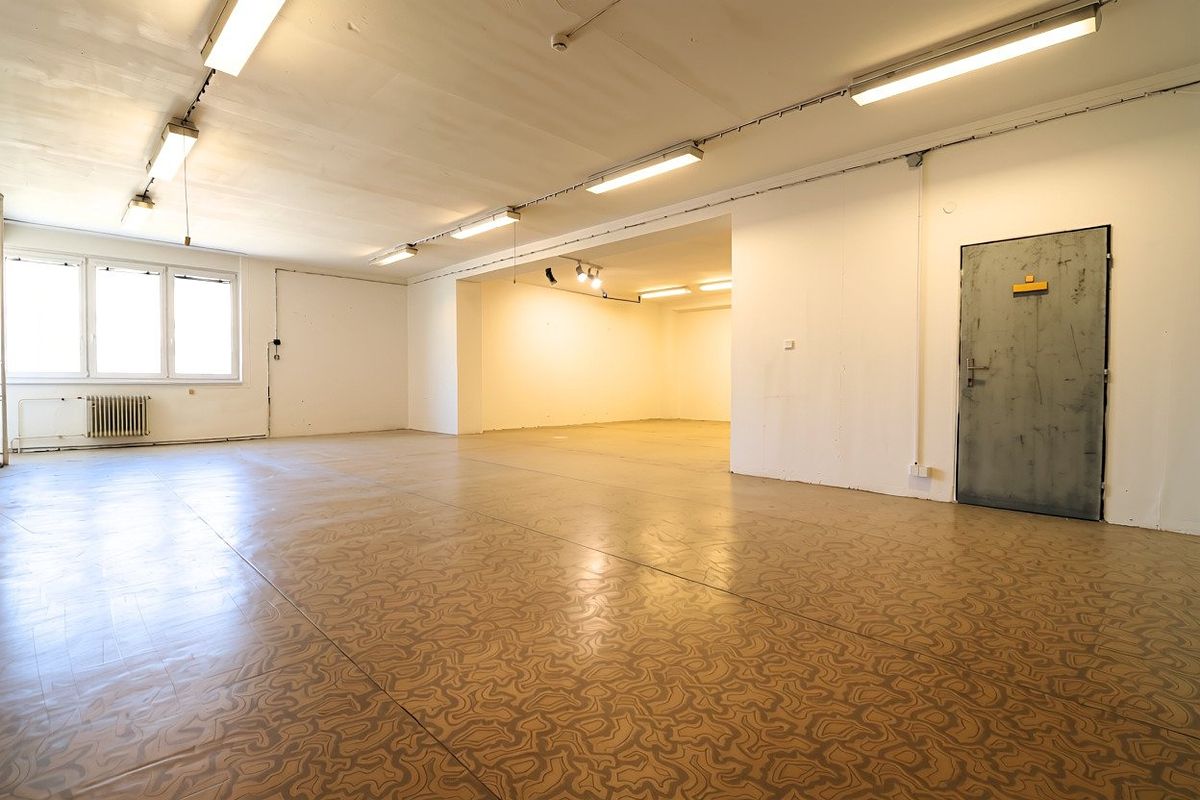 Pronájem výrobní haly, prostoru 100 m² – fotografie 2