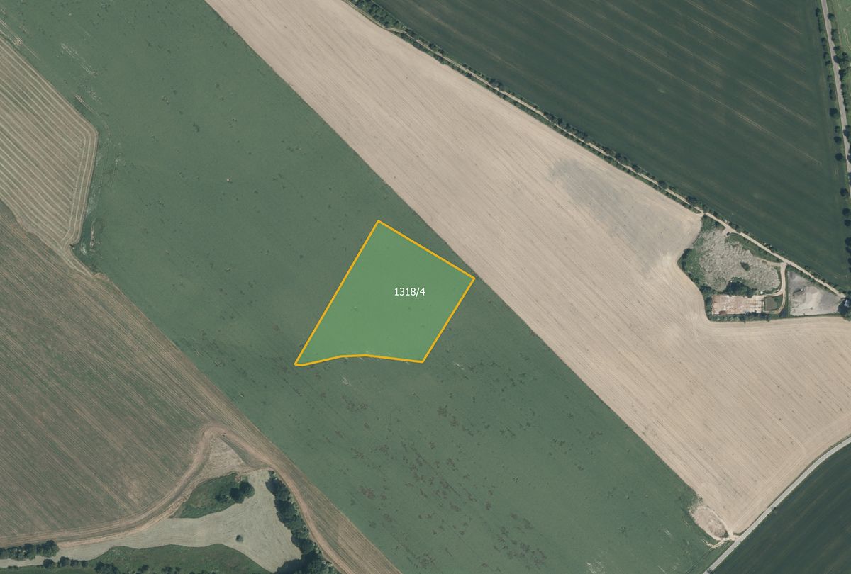 Prodej pole 21681 m², Načeradec – fotka 1 z 3