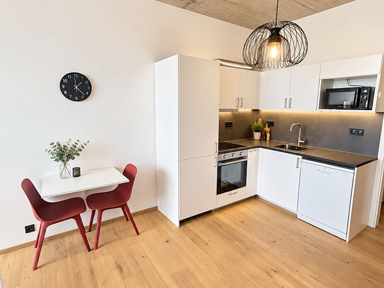 Wohnung 1+kk zur Miete, 38 m² (4 von 9)