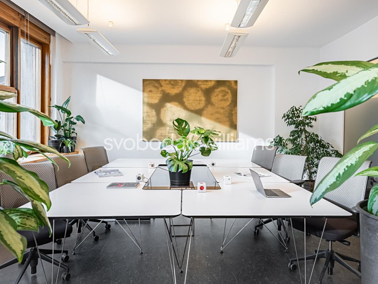 Pronájem komerčního prostoru, 36 m² (7 z 14)