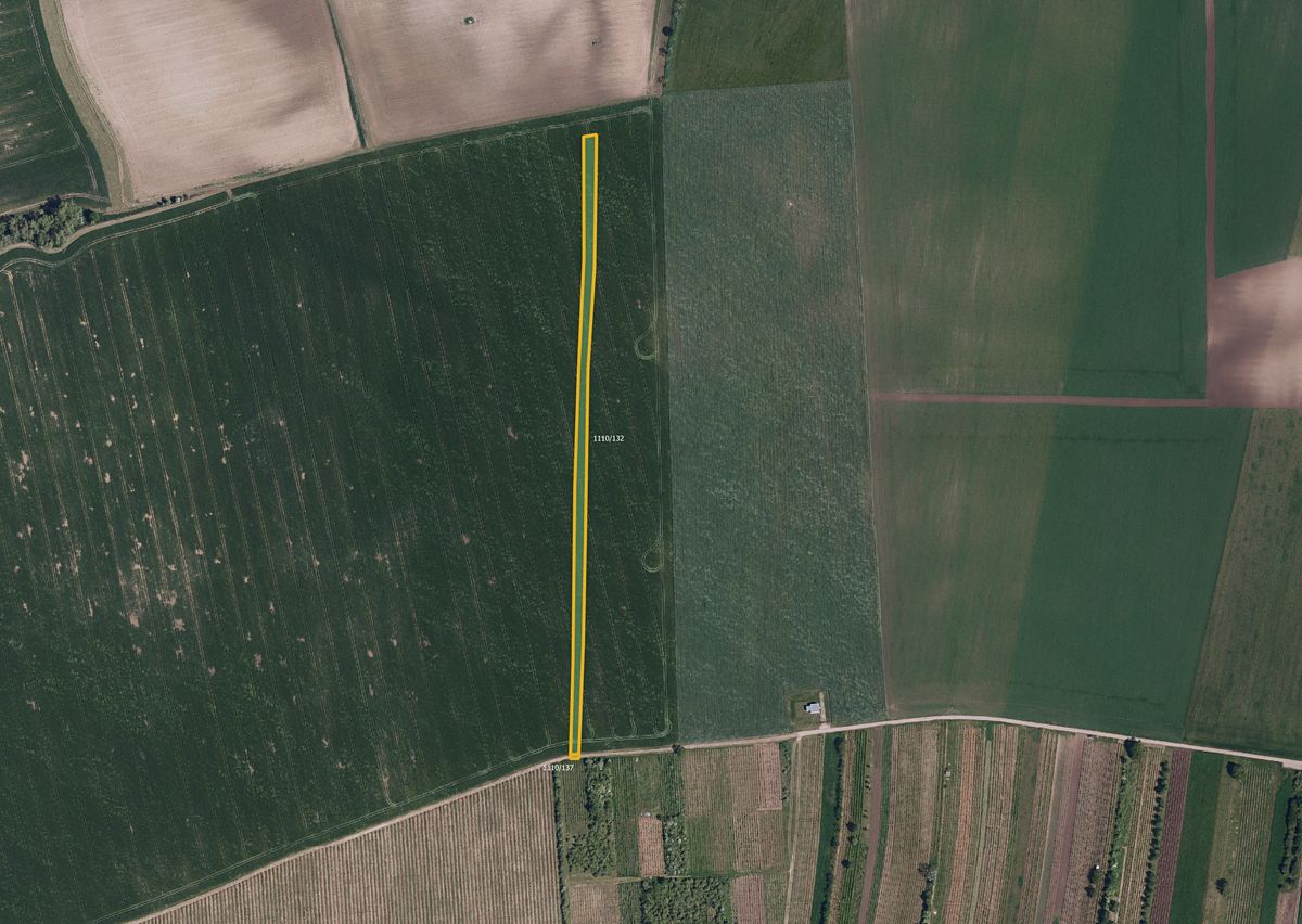Prodej pole 6586 m² – fotografie 2