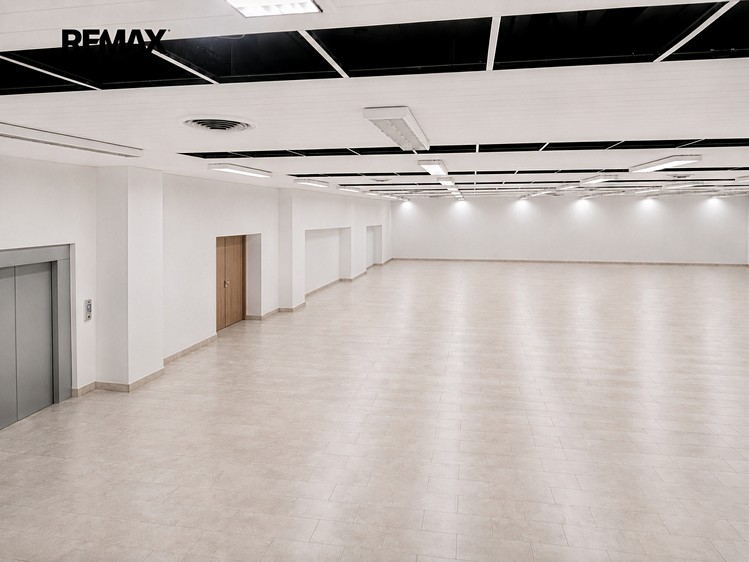 Комерційне приміщення в оренду, 865 м² (8 з 38)