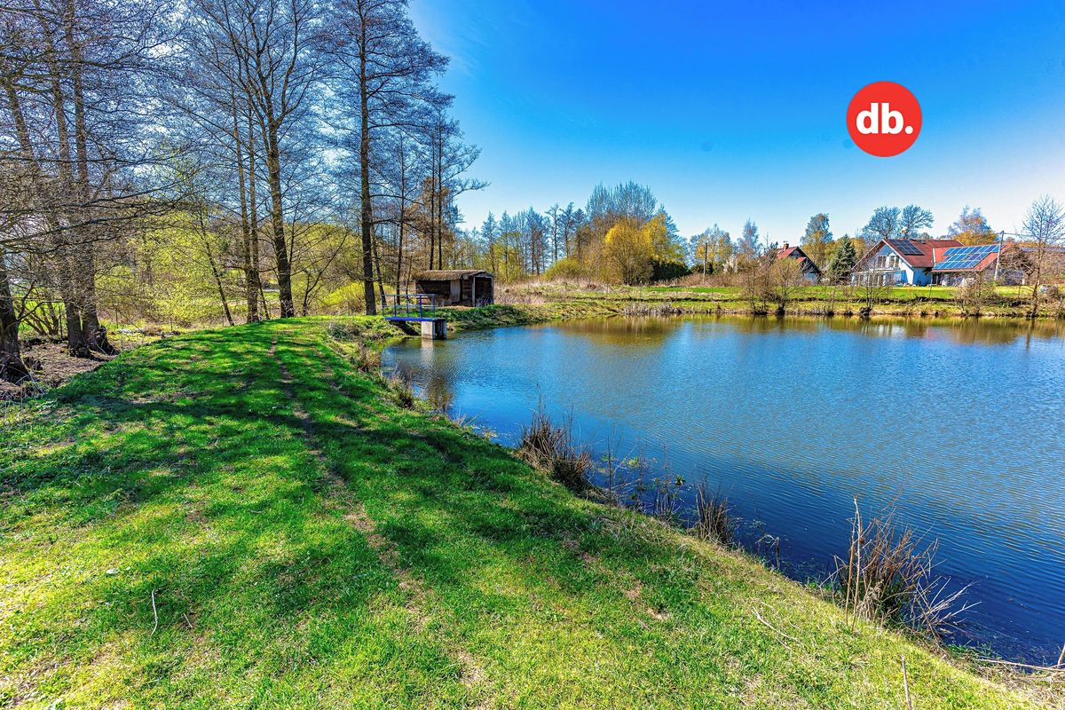Prodej rybníku (vodní plochy) 4133 m² – fotografie 5