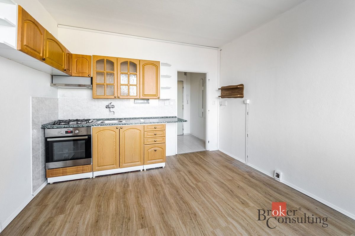 Pronájem bytu 1+1 40 m²