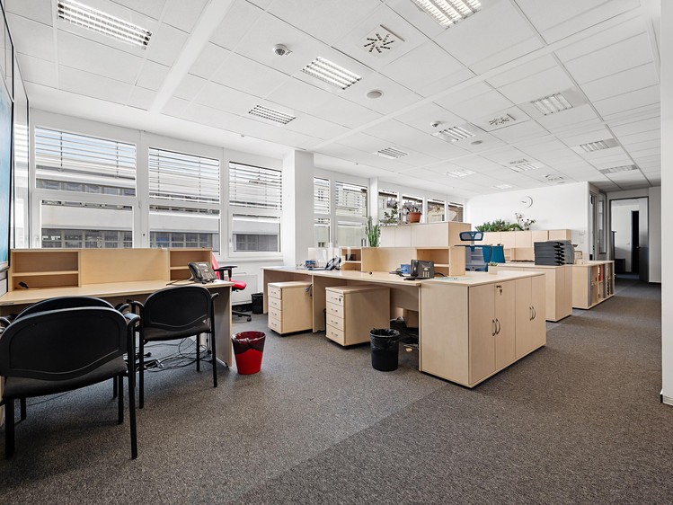 Pronájem komerčního prostoru, 300 m² (7 z 10)