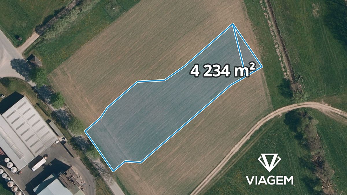 Prodej pole 4234 m²