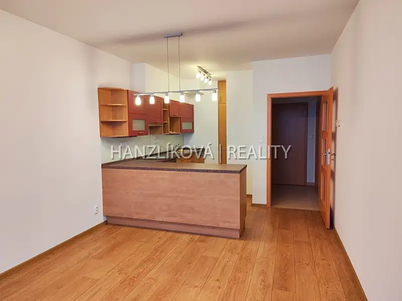 Pronájem bytu 2+kk 54 m², České Budějovice – náhled fotky 1