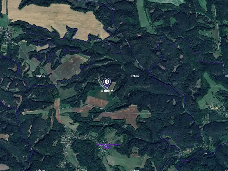 Prodej pole 8999 m², Dobřeň – náhled fotky 2
