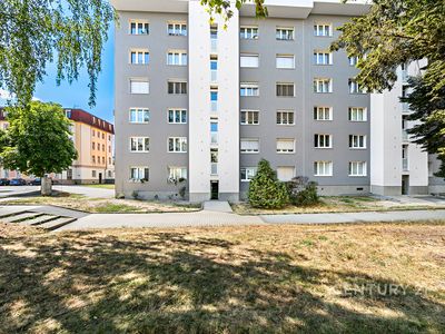 Pronájem bytu 3+1 64 m²
