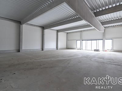 Gewerbefläche zur Miete, 303 m² (3 von 14)