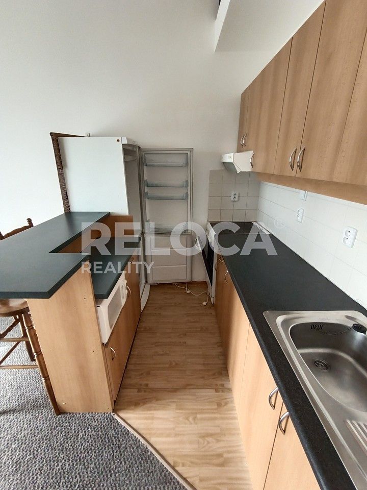 Pronájem bytu 1+1 40 m² – fotografie 4
