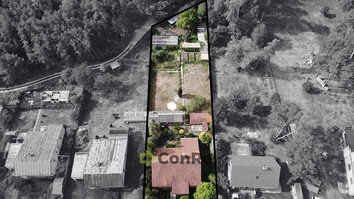 Prodej rodinného domu 297 m², pozemek 2452 m² – fotografie 4