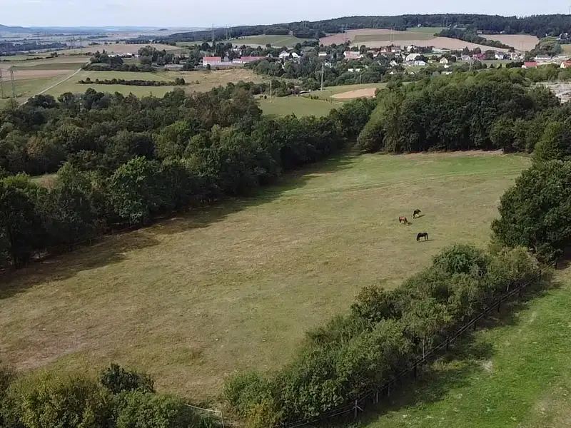Prodej louky 6229 m², Bojanovice – náhled fotky 3