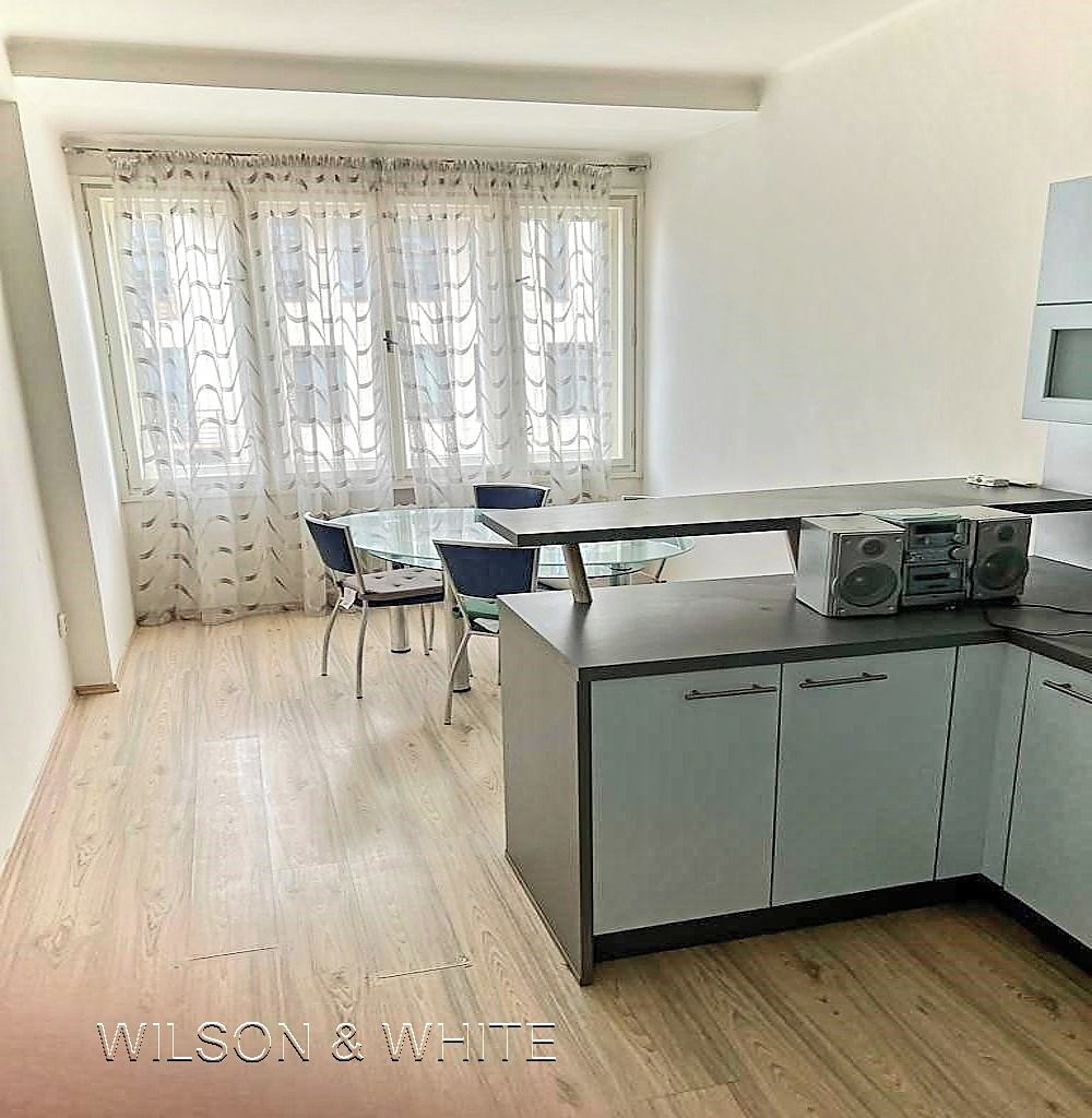 Pronájem bytu 1+1 46 m² – fotografie 4