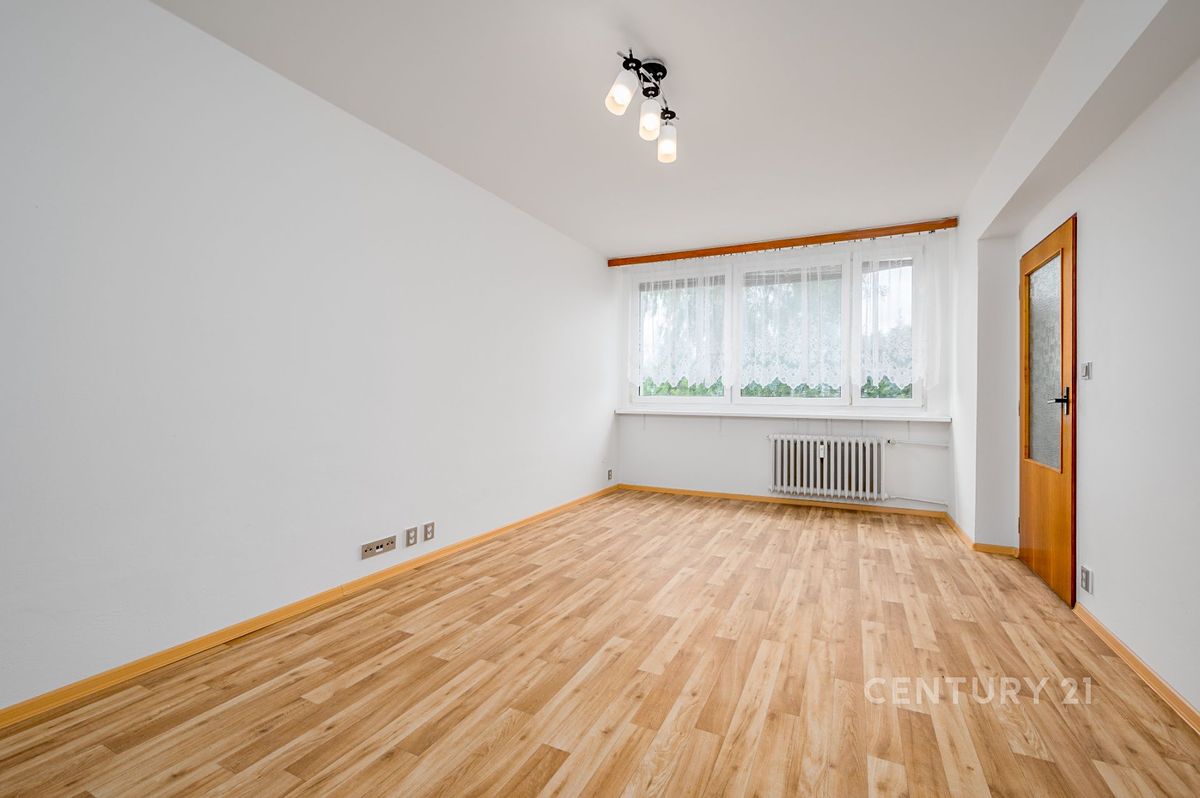 Pronájem bytu 1+1 45 m² – fotografie 3
