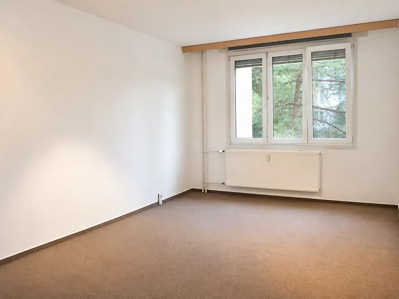 Prodej bytu 3+kk 65 m², Praha – náhled fotky 2