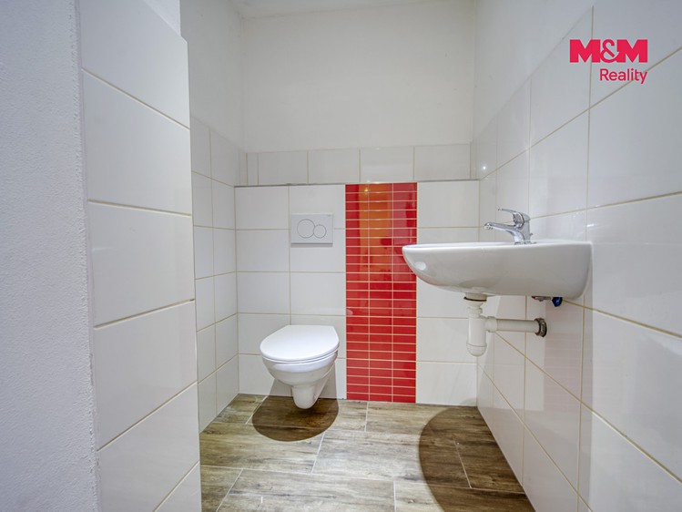 Будинок в оренду, 162 м² (12 з 25)