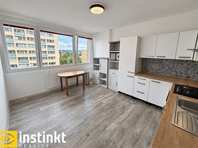 Pronájem bytu 1+1 47 m²