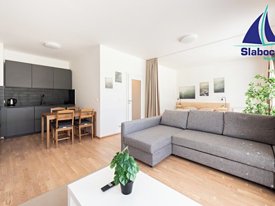 Pronájem bytu 1+kk 45 m²