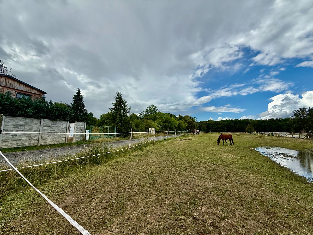 Prodej pozemku 7903 m² – fotografie 3