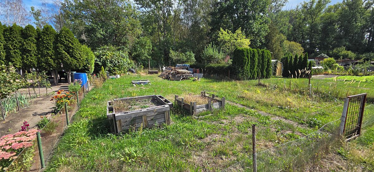 Pronájem zahrady 200 m² – fotografie 4
