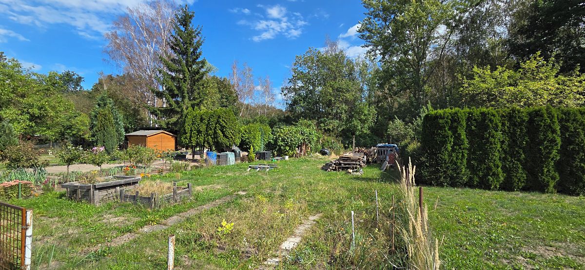 Pronájem zahrady 200 m² – fotografie 5