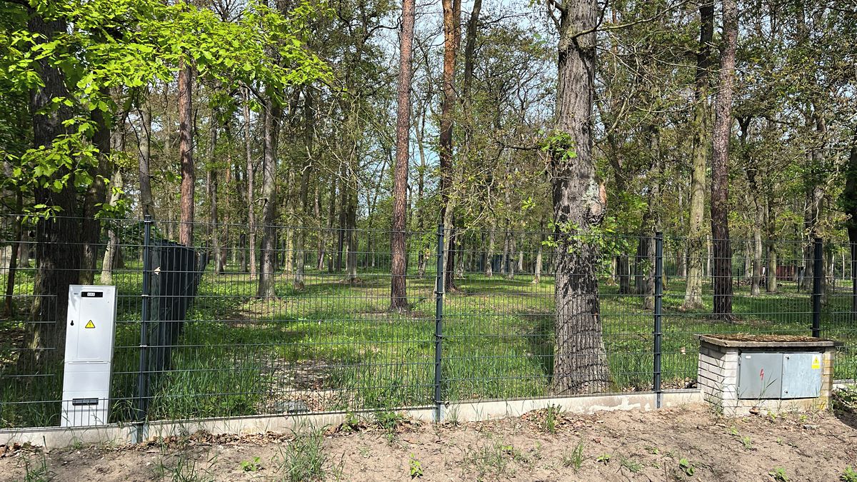 Prodej stavebního pozemku 3171 m² – fotografie 4