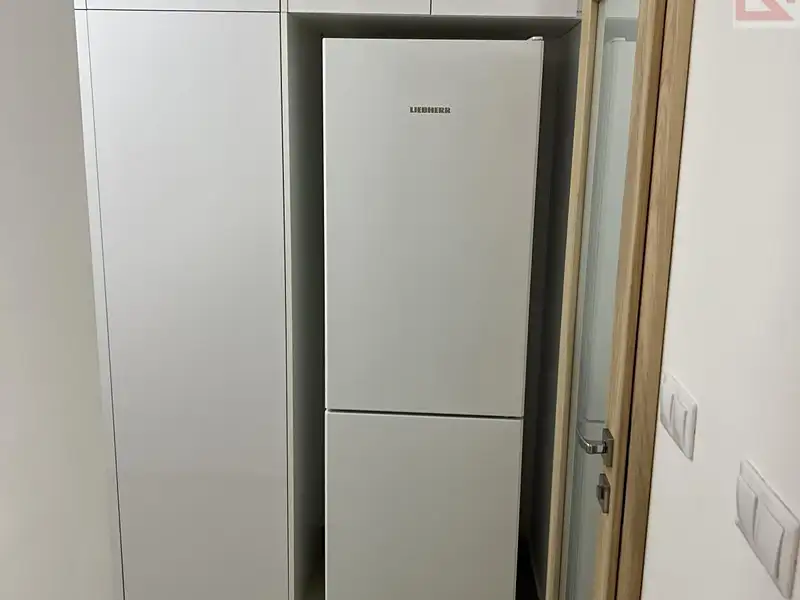 Pronájem bytu 1+1 36 m², Praha – náhled fotky 3