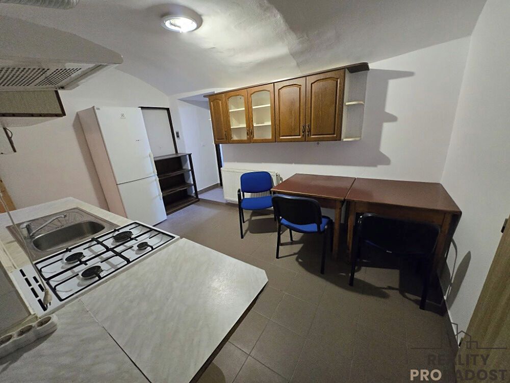 Prodej vícegeneračního domu 500 m², pozemek 4073 m² – fotografie 4